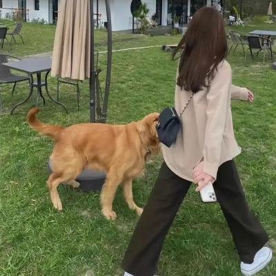 四五口径女郎